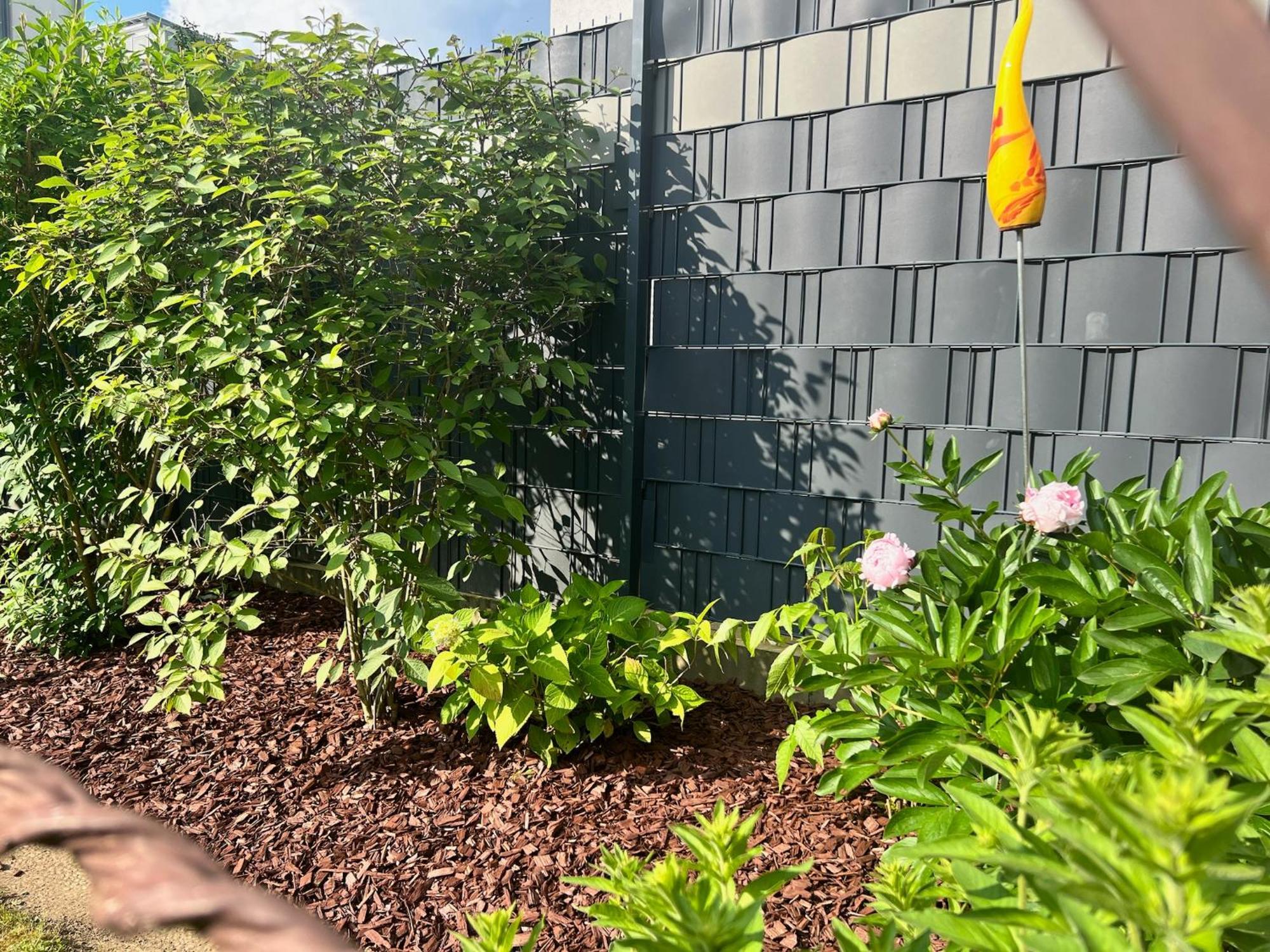 Ferienhaus Mit Garten 胡尔特 外观 照片